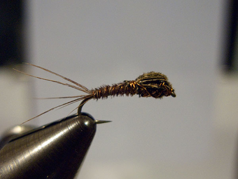 Pheasant Tail Nymph