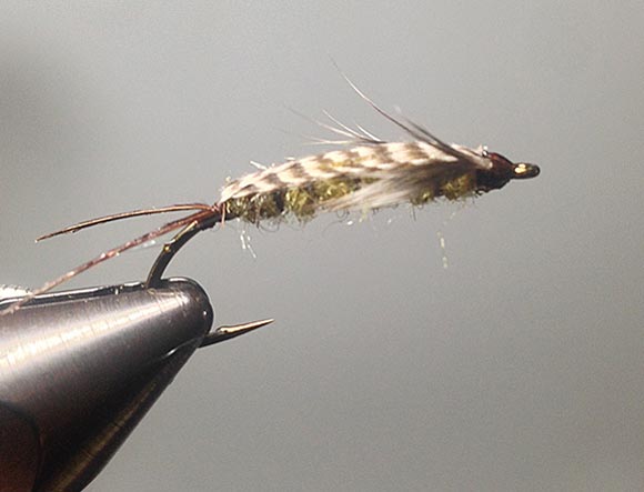 Jennings StoneFly Creeper