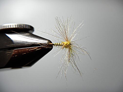 BWO Spinner