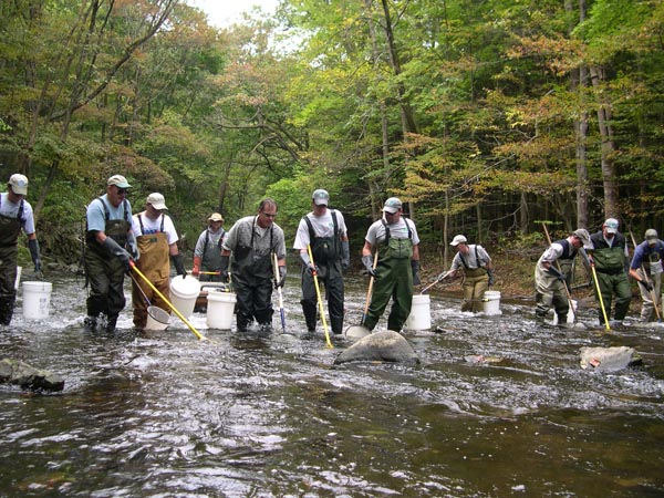 Electrofishing at KLG