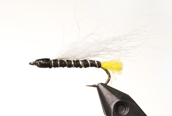 Phonecia Bucktail